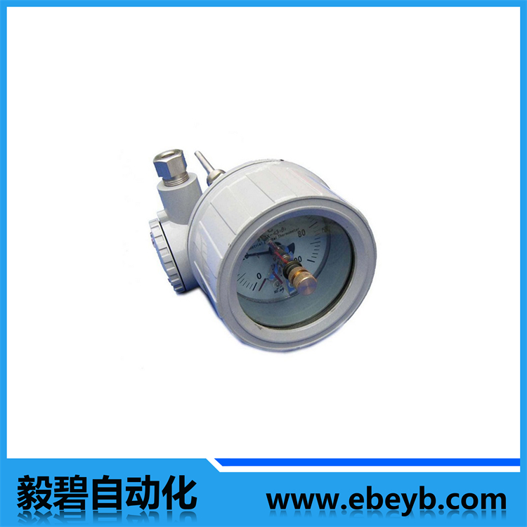 防爆型双金属温度计